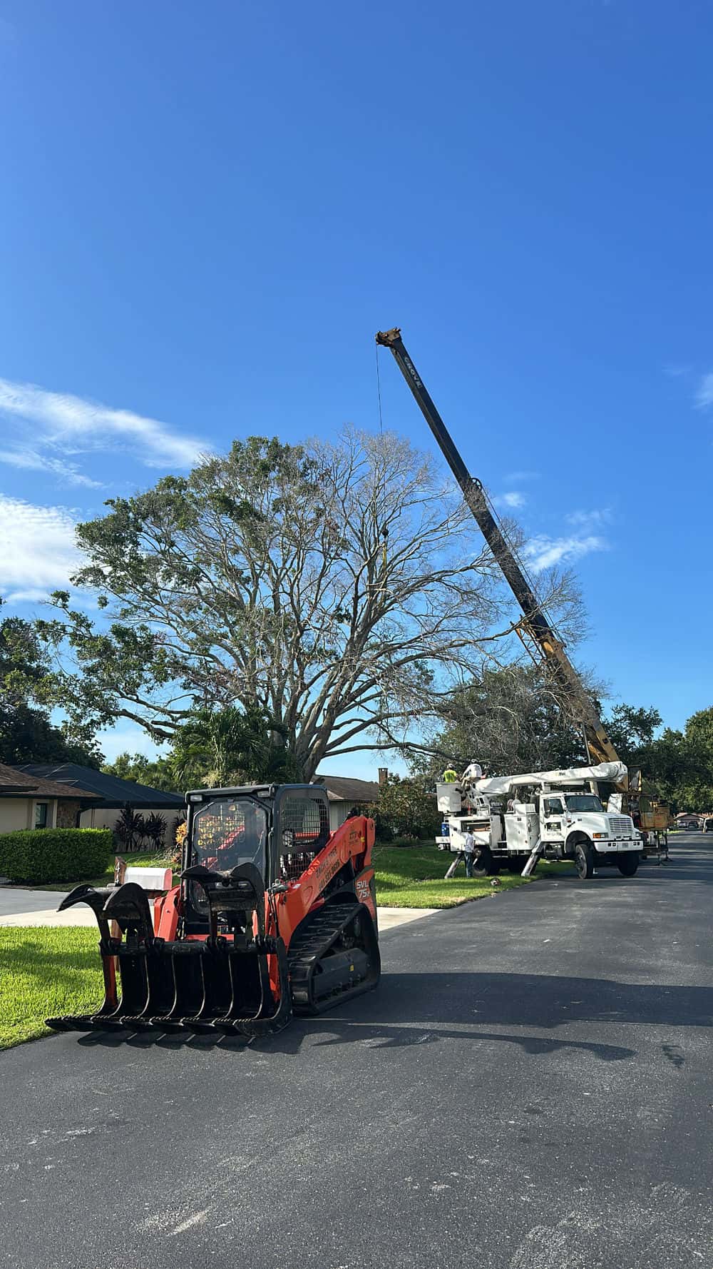 Hero image for Zach’s Tree Service