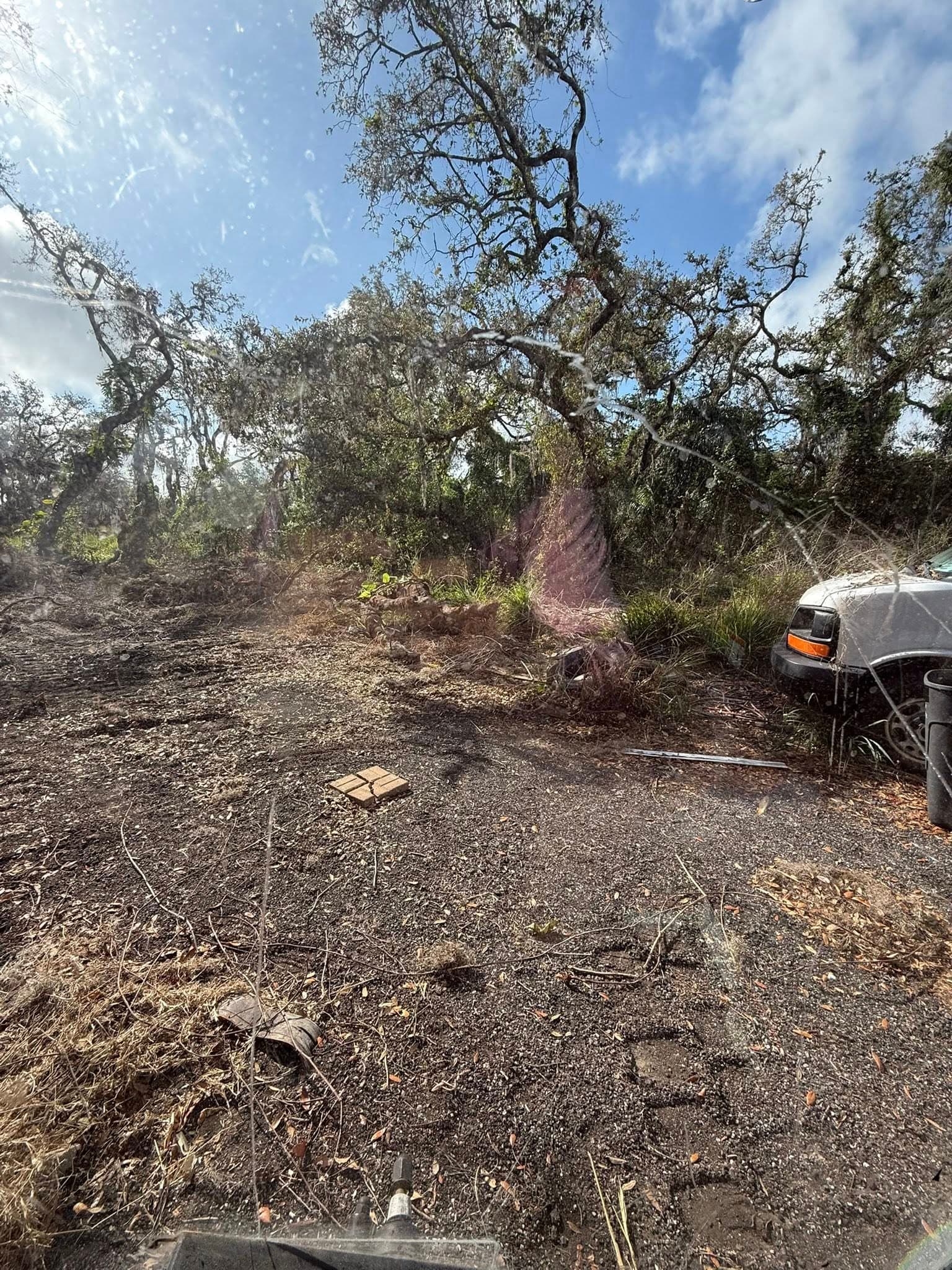 Cleared land with scattered foliage and an abandoned vehicle in a wooded area.