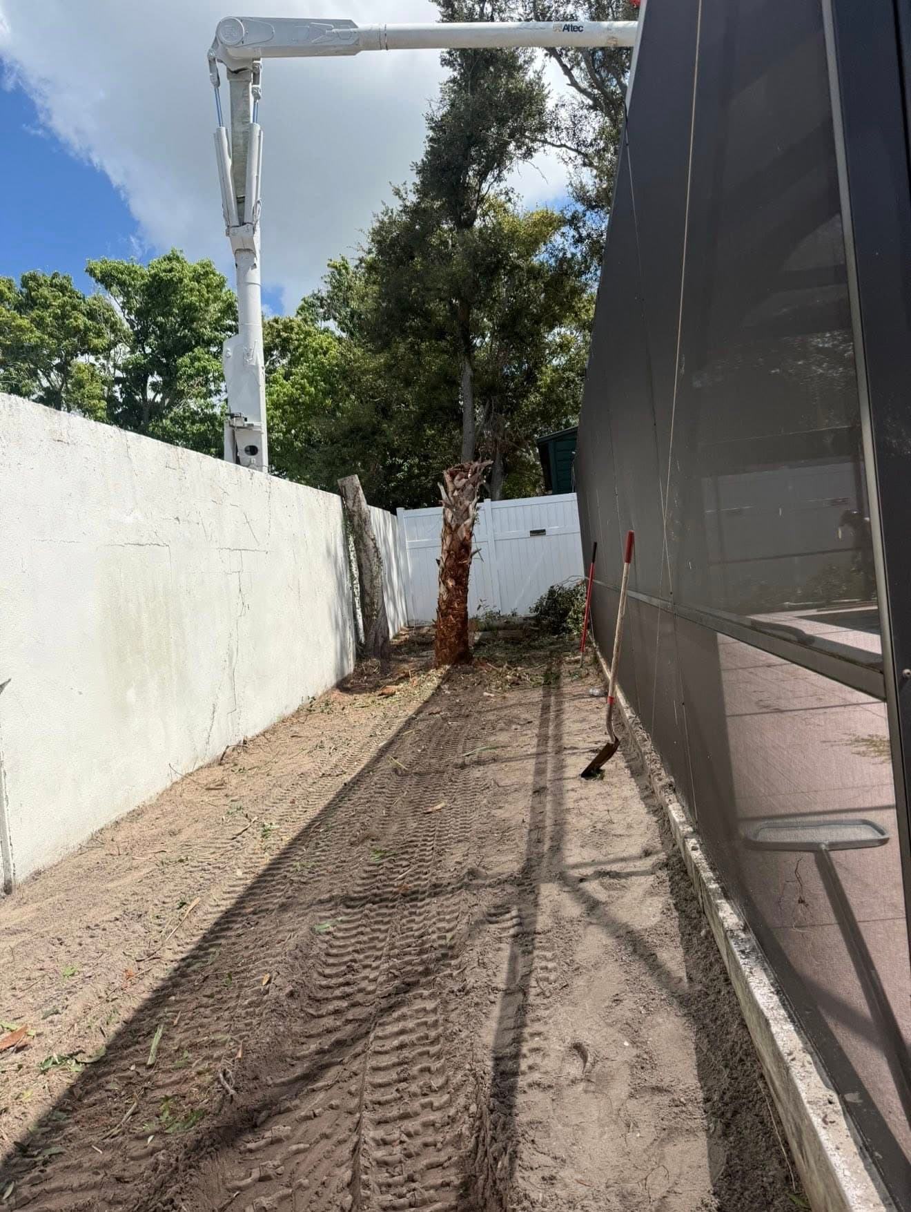 Palm tree trunk with pruning equipment near a residential property and clear blue sky.