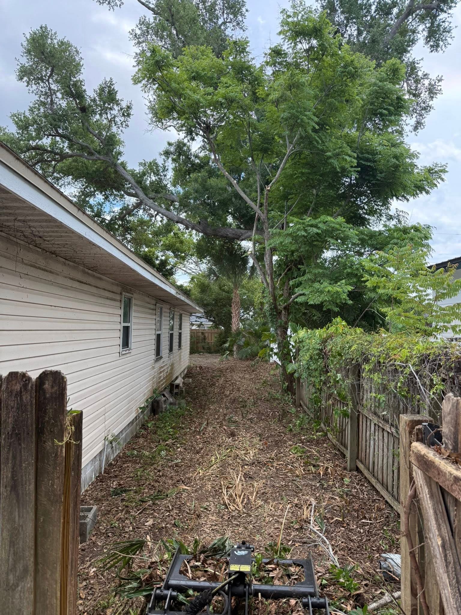 Narrow backyard pathway bordered by trees and houses, featuring freshly mulched ground.