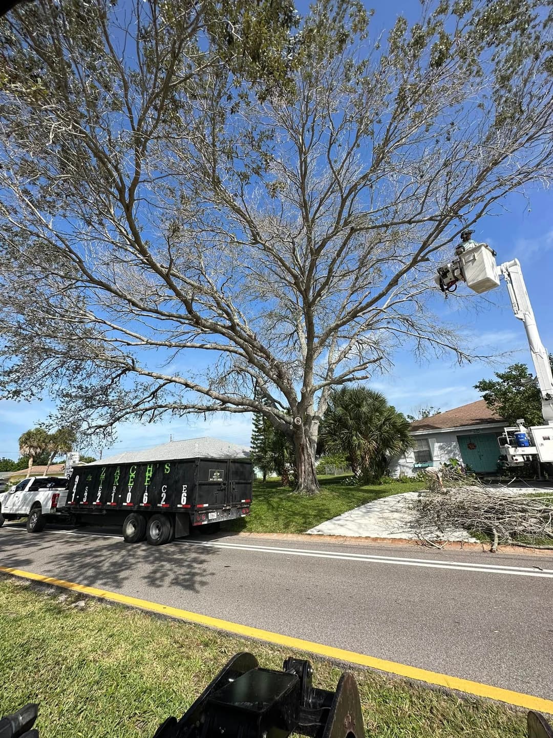 Tree removal process with a truck and crane near a residential area under a clear blue sky.