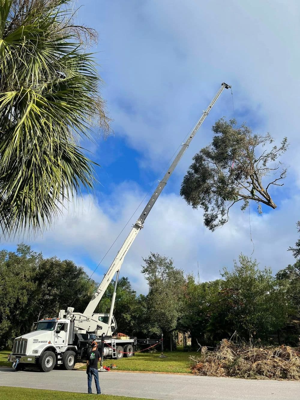 Tree removal using a crane in a residential area with lush greenery and clear skies.