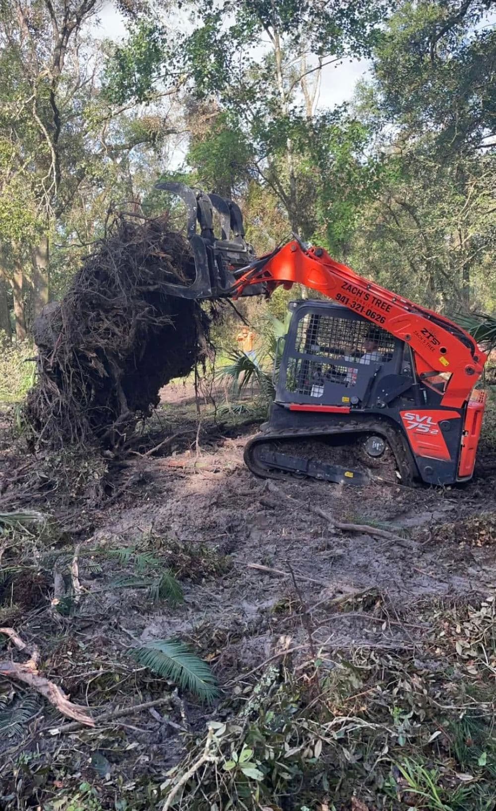 Tree removal machine lifting uprooted tree in forested area, showcasing land clearing operation.